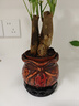 發(fā)財(cái)樹(shù)盆栽室內(nèi)植物客廳吸甲醛好養(yǎng)小盆景四季常青辦公室花卉綠植 3桿發(fā)財(cái)樹(shù)+高端財(cái)字盆+肥料【高20-25cm】 曬單實(shí)拍圖