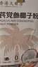 西知堂黃芪黨參椰子粉200g海南特產(chǎn)冷萃椰奶椰汁粉沖飲夏季飲品獨立包裝 曬單實(shí)拍圖