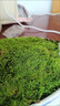 苔蘚孢子粉種子青苔吸水石盆盆景魚(yú)缸草粉造景植物假山草皮生長(cháng) 【精品苔蘚孢子粉】2包裝 曬單實(shí)拍圖