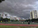 蔻馳（COACH）【品牌直供】女士CALLY小號托特包單肩手提斜挎包 七夕禮物 曬單實拍圖
