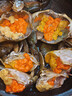 東山島野生紅膏母蟹青蟹鮮活特大菜鱘全公蟹肉蟹 母膏蟹1斤【2只】 曬單實(shí)拍圖