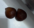 京地達(dá) 印尼蛇皮果 凈重1.8斤 單果50g+ 生鮮水果 源頭直發(fā)包郵 曬單實(shí)拍圖