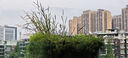 空調(diào)外機支架空調(diào)支架空調(diào)不銹鋼支架空調(diào)掛機空調(diào)配件空調(diào)1.5匹萬能通用格力美的海爾奧克斯適用 【2P】厚度1.6MM承重300KG送螺絲 曬單實拍圖