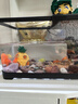 闊庭（KUOTING）魚缸水族箱生態(tài)桌面魚缸新款懶人魚缸生態(tài)造景過濾制氧一體機黑色 曬單實拍圖