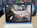 Apple/蘋果【國家補貼】iPad 11英寸 A16芯片2025年款 平板電腦 (256GB WLAN版/學(xué)習(xí)辦公娛樂)粉色 曬單實拍圖