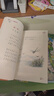 閱美書湘 閱美書香 一二三四五六年級 和大人一起讀適齡注音版 兒歌300首青蛙演唱會 兩個(gè)小八路全彩精編版 雷鋒的故事彩圖典藏版 閃閃的紅星彩圖精編版 小王子彩圖典藏版 芝麻開門 一年級秋季6本（注音 曬單實(shí)拍圖
