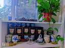 憶壺茶泡茶壺玻璃煮茶壺器茶水分離側把壺電陶爐專(zhuān)用燒水壺一人用分茶具 曬單實(shí)拍圖