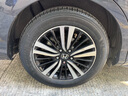 米其林（MICHELIN）汽車(chē)輪胎 215/60R17 100V 浩悅五代 Primacy 5 適配逍客/銳放 曬單實(shí)拍圖