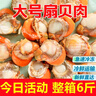 特大號扇貝肉新鮮冷凍扇貝貝類(lèi)海鮮瑤柱海鮮水產(chǎn) 5斤大號扇貝肉 曬單實(shí)拍圖