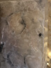 釣魚記免漿黑魚片2.5斤 (5袋*250g) 酸菜水煮魚火鍋冷凍生魚片 生鮮 曬單實拍圖