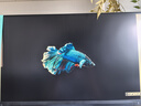 飛利浦EVNIA 27英寸2K300Hz 舒視藍(lán)圓偏光雙硬件護(hù)眼 FastIPS HDR400校色HDMI2.1 電競顯示器27M2N3500UK 曬單實(shí)拍圖