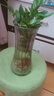 特大號輕奢創(chuàng)意簡約玻璃花瓶透明水養(yǎng)鮮花北歐ins風客廳插花擺件 【20高】透明太陽花 曬單實拍圖