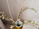 匠心綻放雪柳仿真花高檔輕奢仿真花束裝飾花茶館民宿客廳花卉白色3支20113 曬單實拍圖