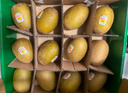 佳沛（zespri）新西蘭 陽(yáng)光金果12粒單果約122-146g 獼猴桃 中秋水果禮盒 曬單實(shí)拍圖