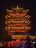 飛鶴星飛帆嬰幼兒配方奶粉2段(6-12個(gè)月) 300克【京東試用裝】 曬單實(shí)拍圖