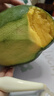 【新鮮上市】正宗攀枝花凱特芒果新鮮水果 帶箱2斤200g+ 曬單實(shí)拍圖