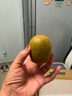 佳沛（zespri）新西蘭 陽光金奇異果12粒禮盒特大果單果約122-146g 獼猴桃 水果 曬單實拍圖