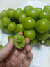 傾睦陜西陽(yáng)光玫瑰葡萄青提提子晴王青葡萄少籽甜葡萄新鮮水果應季現摘 凈重2斤 曬單實(shí)拍圖