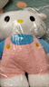 迪士尼（DISNEY）hellokitty巨型玩偶超大毛絨公仔可愛娃娃創(chuàng)意情人節(jié)禮物送女朋友 站款kt貓粉色【升級款PP棉】 80cm 曬單實拍圖