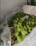 樂(lè )創(chuàng  )（lecon）展示柜冷藏保鮮柜商用飲料柜雙門(mén)立式便利店冰箱啤酒冷飲柜直冷LC-ZSG02 800FZ/B1【多款式可選】 曬單實(shí)拍圖