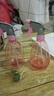 噴壺澆花澆水噴霧器氣壓式噴水壺家用園藝養(yǎng)花500ml 南瓜噴壺透粉【2個裝】 曬單實(shí)拍圖