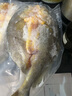 京喜加大黃魚鲞1.2斤/條 三去大黃魚冷凍深海新鮮捕撈黃花魚 黃魚鲞600g*3條【推薦】 曬單實拍圖