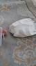 好奇（Huggies）鉑金裝小桃褲成長(zhǎng)褲L120片(9-14kg)大號(hào)尿不濕拉拉褲【消暑散熱】 曬單實(shí)拍圖