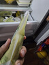 鮮氧多綠豆沙綠豆飲料綠豆湯0添加蔗糖綠豆冰沙0脂夏天解渴飲品250g*8袋 曬單實拍圖