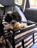 HOUYA寵物車載墊后排座椅副駕駛狗狗車用窩中大型犬后備箱防臟隔離墊 曬單實(shí)拍圖