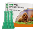 福來恩（FRONTLINE）狗體外驅(qū)蟲藥滴劑10kg以下犬用0.67ml*3支裝 曬單實拍圖
