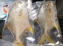 環(huán)球水產(chǎn)冷凍南海金鯧魚2斤/2條 生鮮魚類 火鍋 深海魚 海鮮水產(chǎn) 家庭聚餐 曬單實(shí)拍圖