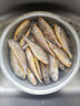 小黃花魚新鮮冷凍燒烤小黃魚生鮮水產(chǎn)活海魚海鮮整箱商用批發(fā)順豐 小黃花魚3斤【6-7條/斤】 曬單實拍圖