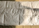 富安娜棉花床墊大豆纖維厚墊純棉單人學(xué)生保護(hù)墊0.9x1.9米 曬單實(shí)拍圖