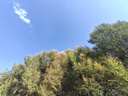 班哲尼旅行包男士行李包大容量衣物收納袋可套拉桿行李箱出差斜跨手提包 曬單實(shí)拍圖