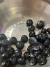 山姆伯伯云南L25花香藍莓禮盒【順豐-次日達多地】新鮮水果禮盒中秋節(jié)禮品 【熱賣80%選】特惠超值｜14-16mm 125g*8盒裝【家庭分享】凈100g 曬單實拍圖