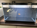 當(dāng)貝智能生態(tài)魚缸1Ultra 一體缸自循環(huán)雙過(guò)濾AI托養(yǎng)懶人家用桌面魚缸 曬單實(shí)拍圖