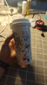 格沵（germ）梵高聯(lián)名雙飲保溫杯吸管水杯大容量學生杯女神禮物杯子500ML玫瑰 曬單實拍圖