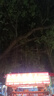 手工工具套裝實(shí)驗(yàn)DIY多功能精密32合一24合一皮包款12合一螺絲刀起子手機(jī)電腦筆記本維修 工具盒25合一（塑料桿）顏色隨機(jī) 曬單實(shí)拍圖