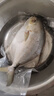 翔泰海南二去金鯧魚700g/2條  去鰓去內(nèi)臟 燒烤 生鮮魚類  海鮮水產(chǎn) 曬單實拍圖