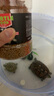 奈寵（NaiChong）小烏龜飼料通用龜糧魚(yú)干蝦干淡水巴西草龜料顆粒專(zhuān)用營(yíng)養食物糧 蝦干龜糧500g桶裝 中粒3mm【適合6-15厘米的龜】 曬單實(shí)拍圖