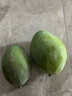 京鮮生 攀枝花凱特芒果 凈重4.5斤 單果300g+ 生鮮水果源頭直發(fā) 曬單實(shí)拍圖