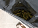 匠界養(yǎng)生茶金銀花100g花草茶嗓子干癢上火老師泡水喝搭胎菊花枸杞 曬單實拍圖