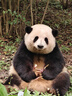小米手環(huán)10智能運(yùn)動(dòng)健康防水手表血氧睡眠心率監(jiān)測(cè)微信支付送男友女友禮物【小米汽車YU7同場(chǎng)發(fā)布】? NFC 版銀色 曬單實(shí)拍圖