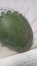 【新鮮上市】正宗攀枝花凱特芒果新鮮水果 帶箱2斤200g+ 曬單實(shí)拍圖
