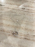 憶瑾項鏈女s999足銀雙環(huán)相扣莫比烏斯環(huán)韓版鑲鉆鎖骨鏈七夕情人節(jié)禮物 [精美禮盒]莫比烏斯項鏈-白金色 曬單實拍圖