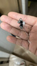 Qlady漸變蝴蝶流蘇耳環(huán)女2025年氣質(zhì)高級(jí)感銀針耳釘小眾設(shè)計(jì)感耳飾禮物 曬單實(shí)拍圖