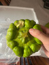 京滿(mǎn)隆云南新鮮姜柄瓜小麥瓜迷你面南瓜嫩甜綠瓜農家蔬菜土特產(chǎn) 1000g 曬單實(shí)拍圖