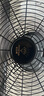 鉆石牌工業(yè)風(fēng)扇趴地扇臺(tái)式趴地電風(fēng)扇強(qiáng)力商用臺(tái)地扇大功率趴地風(fēng)扇工廠坐地扇大風(fēng)力EF-50L 曬單實(shí)拍圖