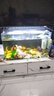 PC魚缸頂部蓋板透明防水魚缸防跳蓋板魚缸蓋透光耐摔保溫定制開口 2MM外蓋開口款（送固定） 60X30cm 曬單實拍圖