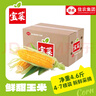 京鮮生&佳農(nóng)寶菜山東水果玉米單根275g+鮮甜多汁4-7根凈重4.6斤源頭直發(fā) 曬單實拍圖